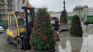 Květinové pyramidy zdobí Horní náměstí v Olomouci