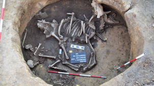 Archeologové pod budoucí dálnicí našli ostatky lidí i zvířat