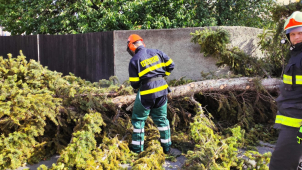 Hasiči po bouřkách odklízeli spadené stromy