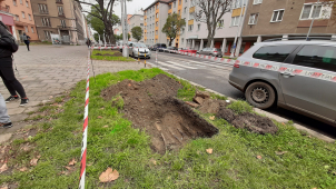 Výsadbu stromů na Masarykově třídě komplikují nezakreslené sítě