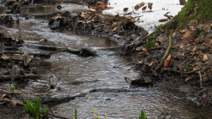 Povodí Moravy trápí nedostatek vody, je málo sněhu