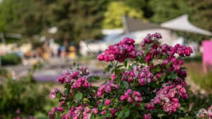 Festival si v rozáriu užilo na pět tisíc návštěvníků