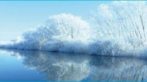 Otužilci budou dnes v Olomouci závodit v řece Moravě