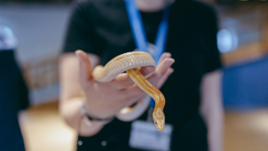 Chcete poznat ty nejjedovatější hady a štíry na světě?