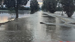 Troubky právě teď: Zopakuje se rok 1997?