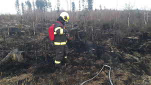 Ničivý oheň v lese likvidují hasiči i s pomocí dronu