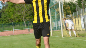 Sady porazily Strání, rozhodl Šuba