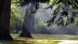 Léto skončilo, už se mohou objevit i přízemní mrazíky