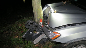 U Třeštiny na Šumpersku srazilo osobní auto divoké prase