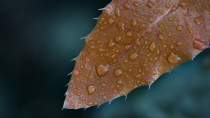 Během dne bude pršet, ve vyšších polohách se objeví sníh