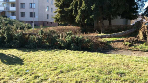 Silný vítr zaměstnal také olomoucké strážníky