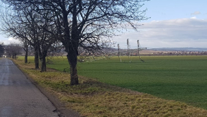 Hasiči během celého včerejška zasahovali u následků vichřice