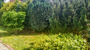 Na přerovském náměstí letos vyroste louka