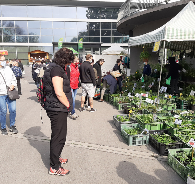 Na Floře probíhají Zahradnické trhy