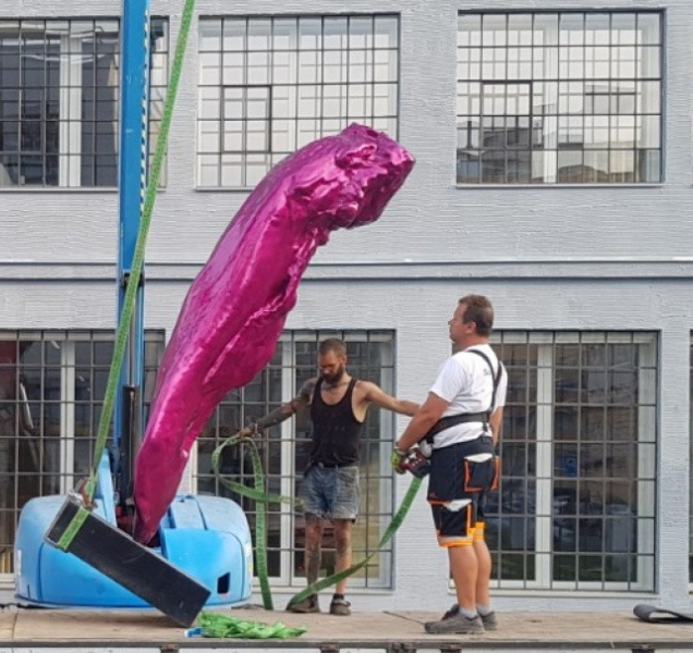 Nenažranec  "zaparkoval" v Jungmannově ulici v Olomouci