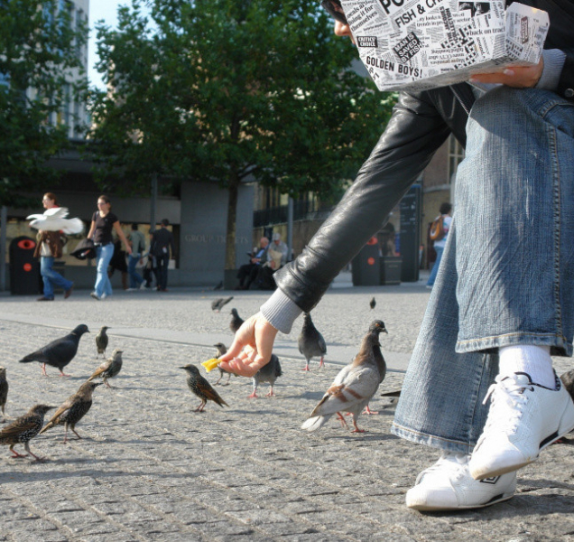 Nové olomoucké vyhlášky: čistota ve městě