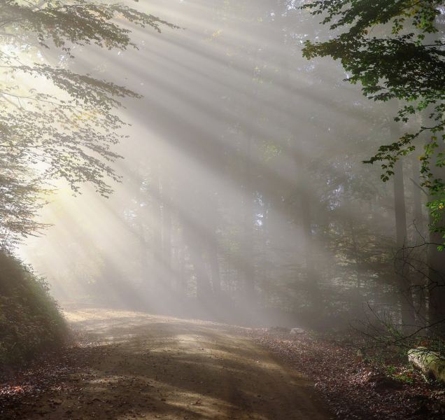 Neděle bude studená, v Jeseníkách přijdou sněhové přeháňky