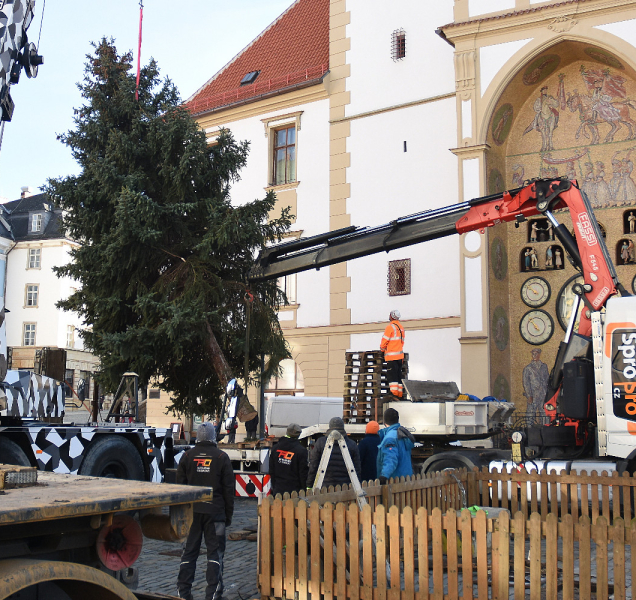 Před orlojem v Olomouci už je vánoční stromek