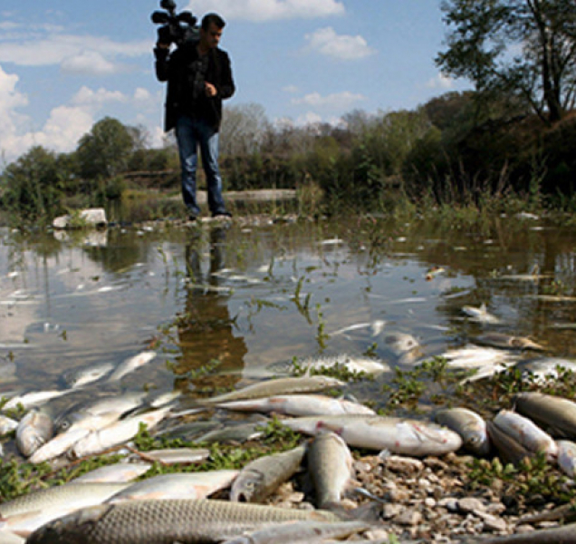 Vyšetřování otravy Bečvy pokračuje, znalec chce více času