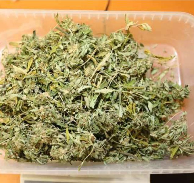 Dealer chtěl prodávat drogy v centru Olomouce, chytila ho policie