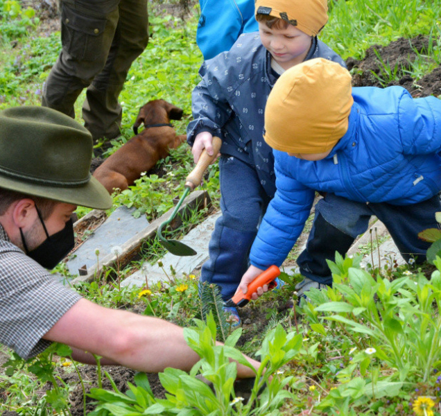 Čtyřicet malých jedlí zasadily děti na zahradě za svatým Michalem