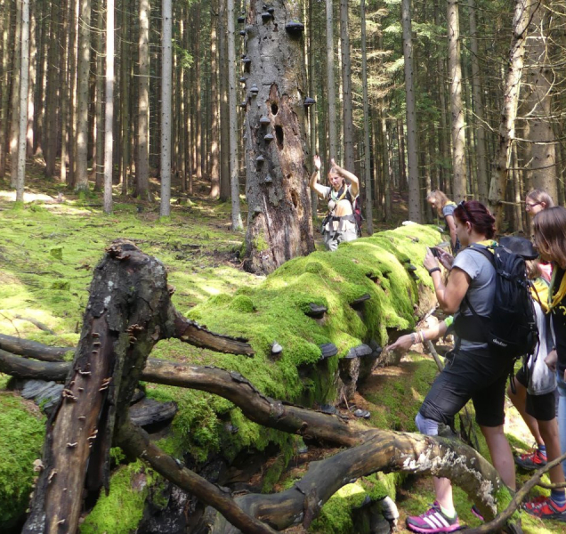 Soutěž Zelená škola zná vítěze, uspělo i hejčínské gymnázium