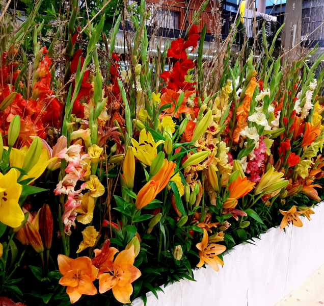 Letní etapa Flory už je za dveřmi, připomene léčivou moc přírody