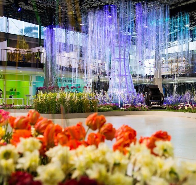 Desítky tisíc květin a bohatý program. Flora Olomouc se vrací