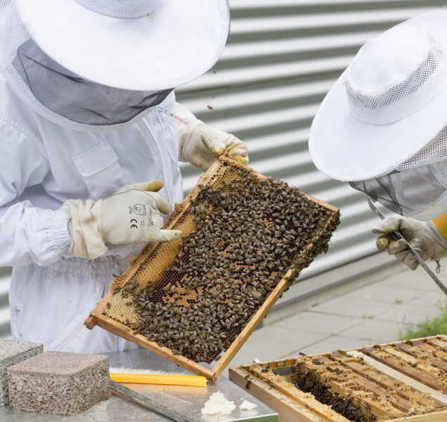 Téměř osm desítek žádostí o podporu