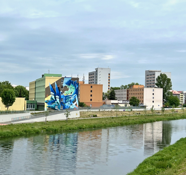 Vysokoškolské koleje obsadí olympionici