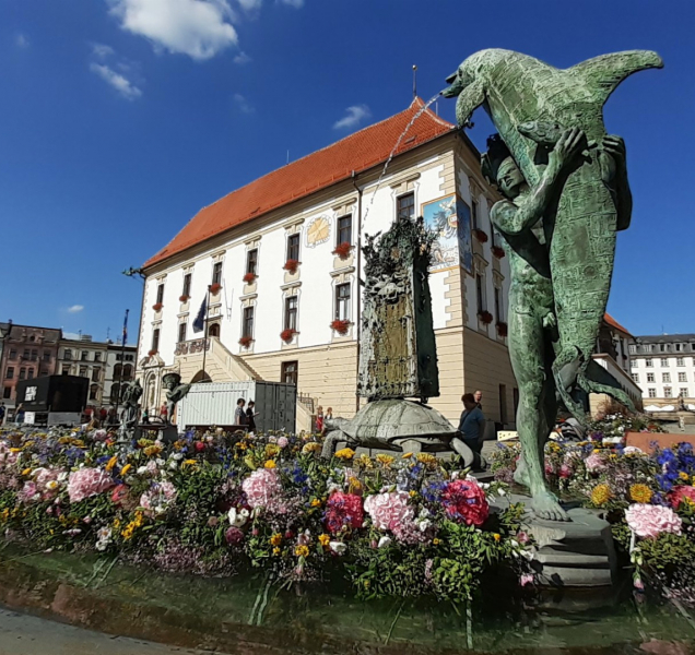 Olomouc obohatila jedinečná aranžmá i záhony