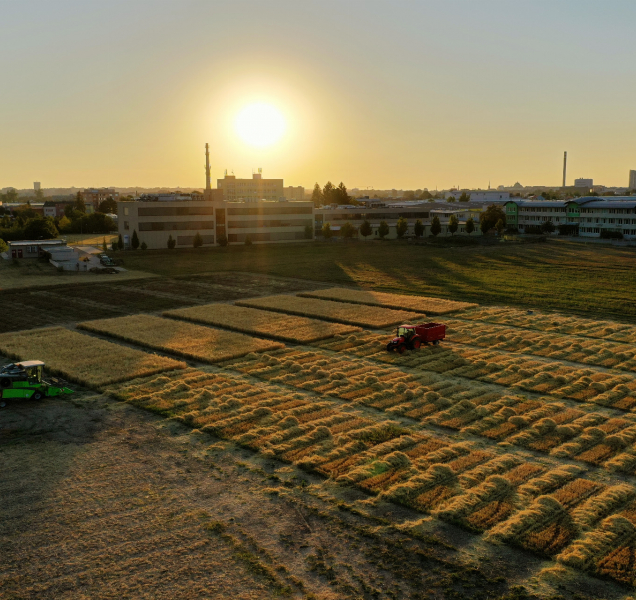 Vědci na akademických dožínkách oslaví konec sklizně