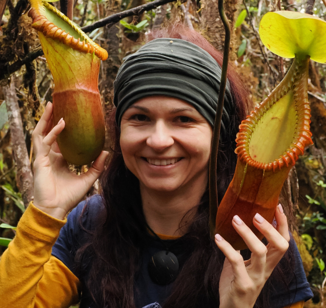 České masožravé rostliny i vzácné „masožravky“ ze Stolových hor