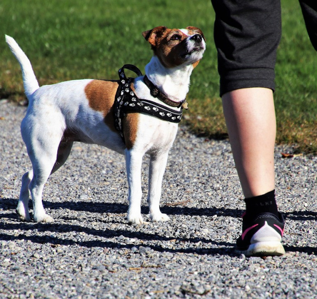 Nezapomněli jste zaplatit za odpad? 20 000 Olomoučanů ano!