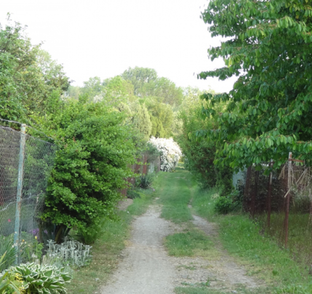 Město schválilo Memorandum o IV. etapě protipovodňových opatření. Je to ale bezcenné politické provolání