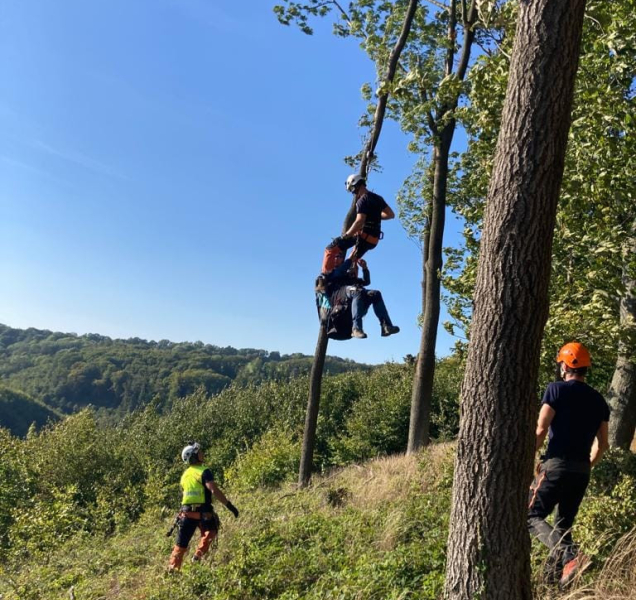 Paraglidisté, uvěznění v korunách stromů, zaměstnali záchranáře