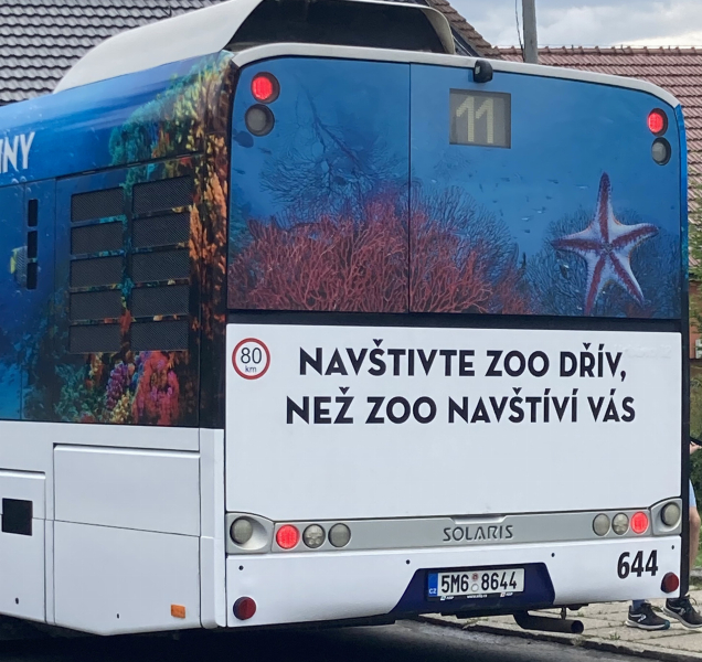 Hrozí nám zoo, že vypustí zvířata do města?