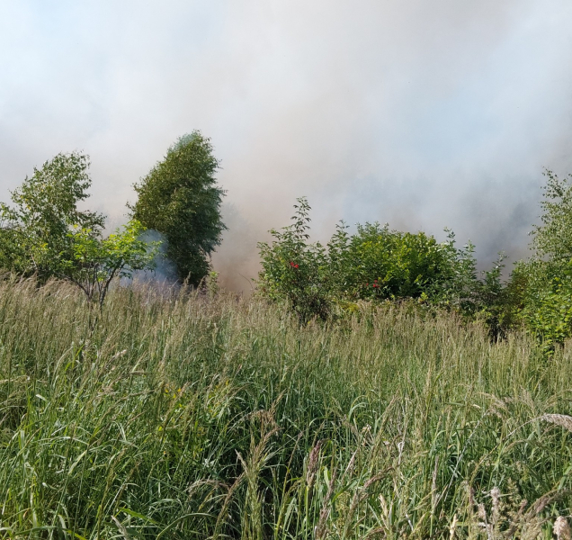 Další lesní požár. Tentokrát u Bludova