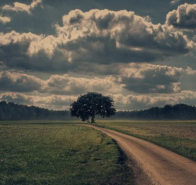 Neděle bude zatažená, místy s deštěm