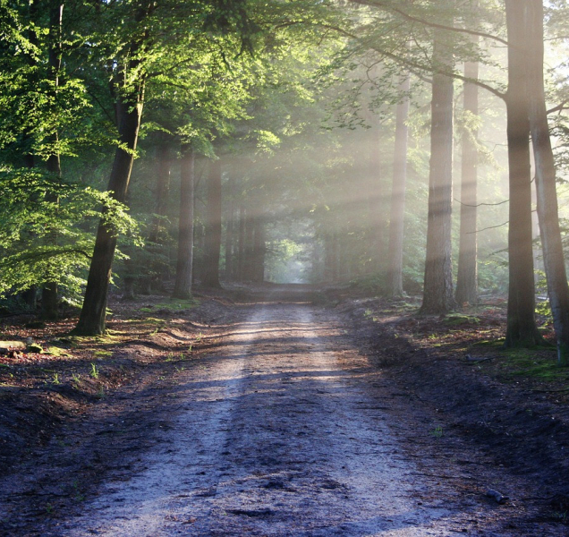 I druhý víkendový den bude krásně teplý