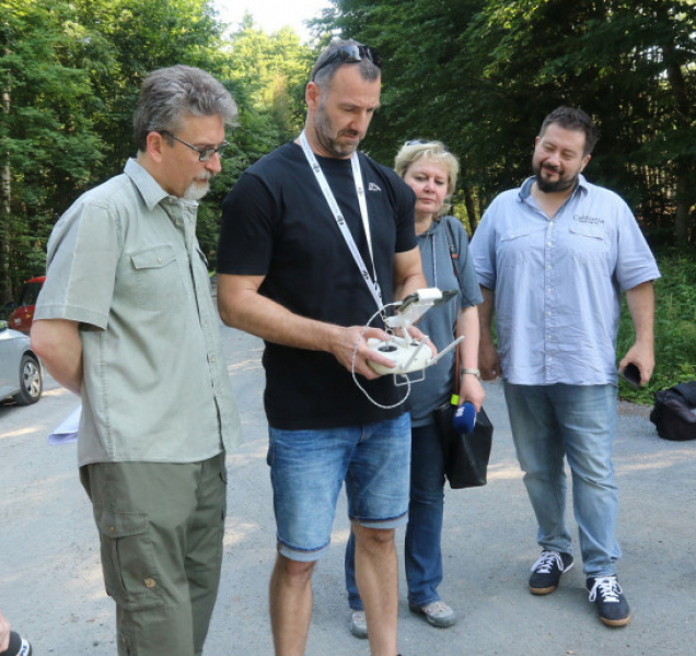 Městské lesy se potýkají s počasím i kůrovcovou kalamitou