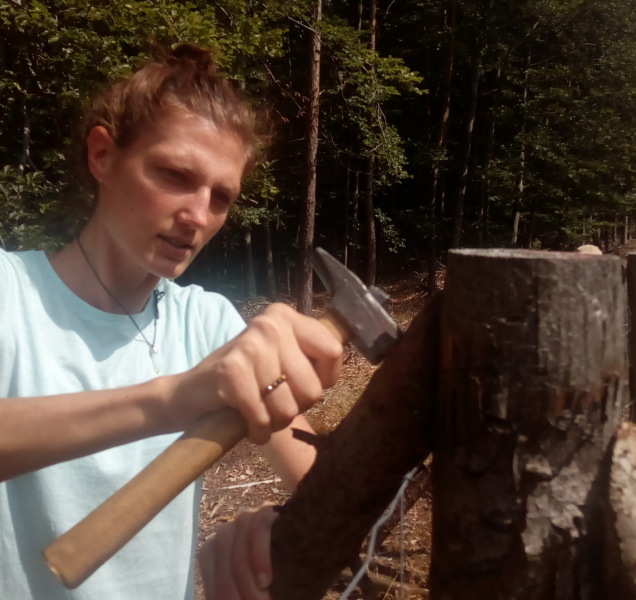 Společný projekt Lesů ČR a Hnutí Duha v Jeseníkách začal