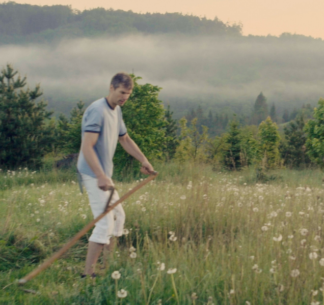 Kvůli chráněným rostlinám se sečou horské louky na Jesenicku