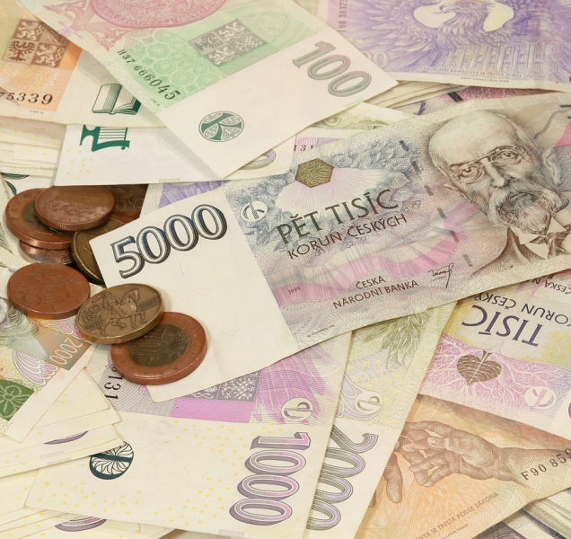 Kraj přispěje penězi na sociální služby