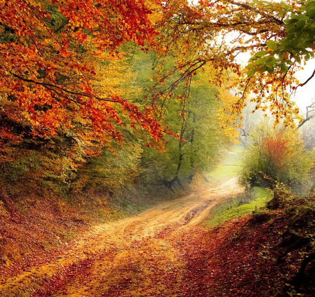 Teploty v kraji začátkem týdne skokově klesnou