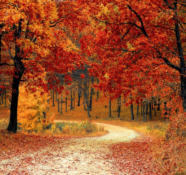 Začátek týdne v kraji bude deštivý, ale teplý