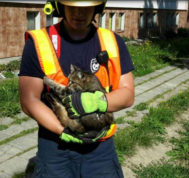 13 kuriózních případů, které letos řešili hasiči v kraji