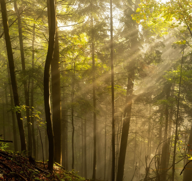 Teplota v kraji se v sobotu bude držet nad nulou