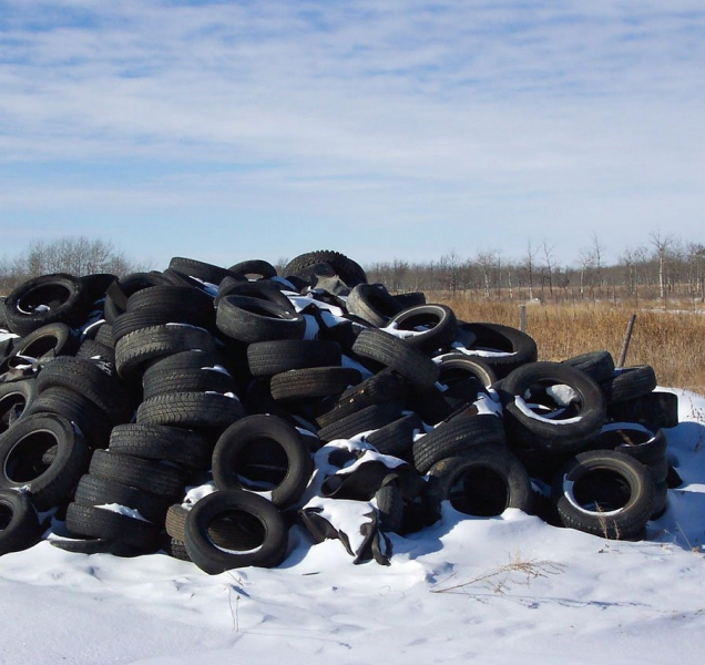 Komu a jak hlásit černé skládky?