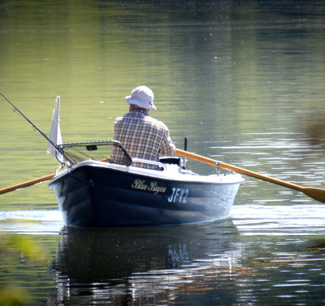 Jak je to teď s rybářskými lístky, nebo s volným pohybem psů?